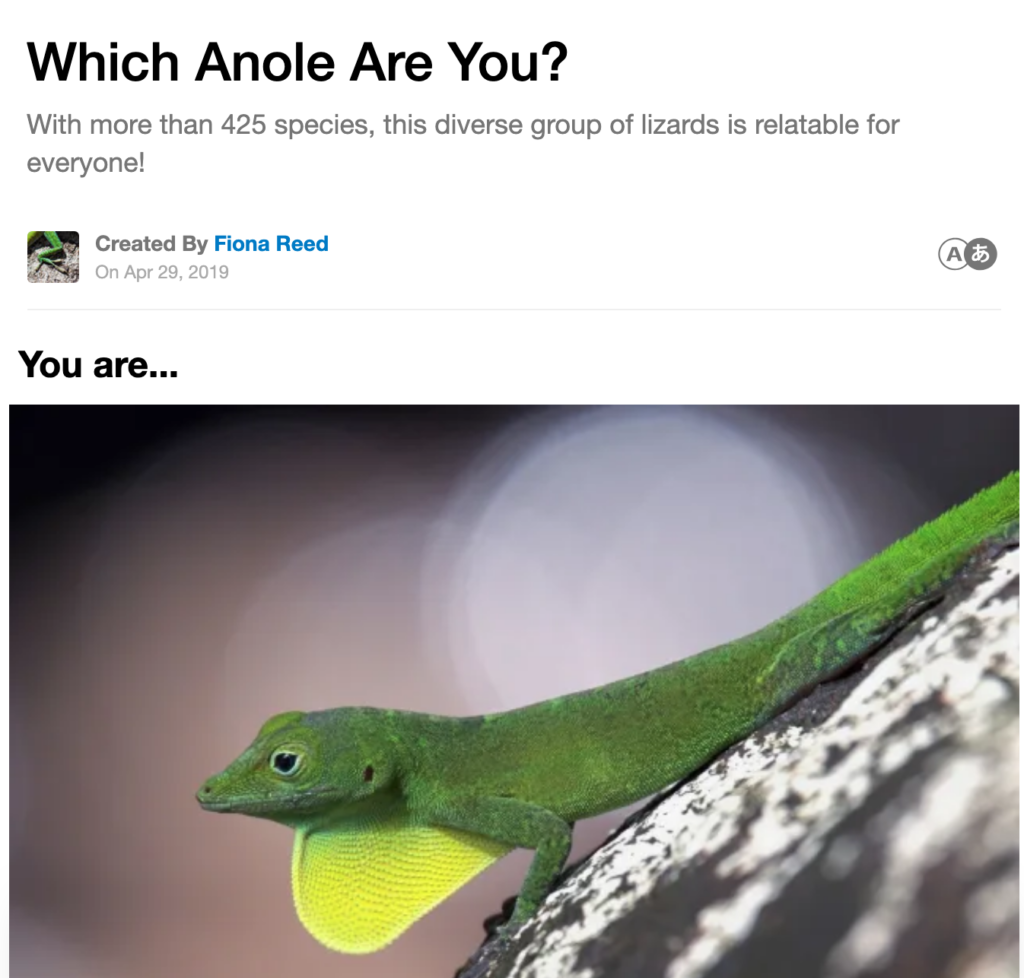 Which Anole Ecomorph Are You? – Anole Annals