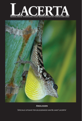 English Translation of Particular Concern of Lacerta on Anoles Now Out there – Anole Annals
